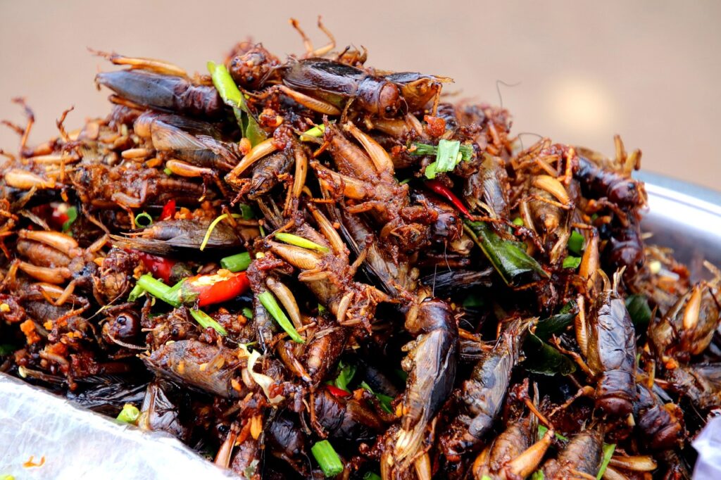 cockroaches, salad, chili-4240660.jpg