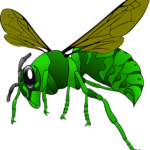 hornet, bee, insect-146377.jpg