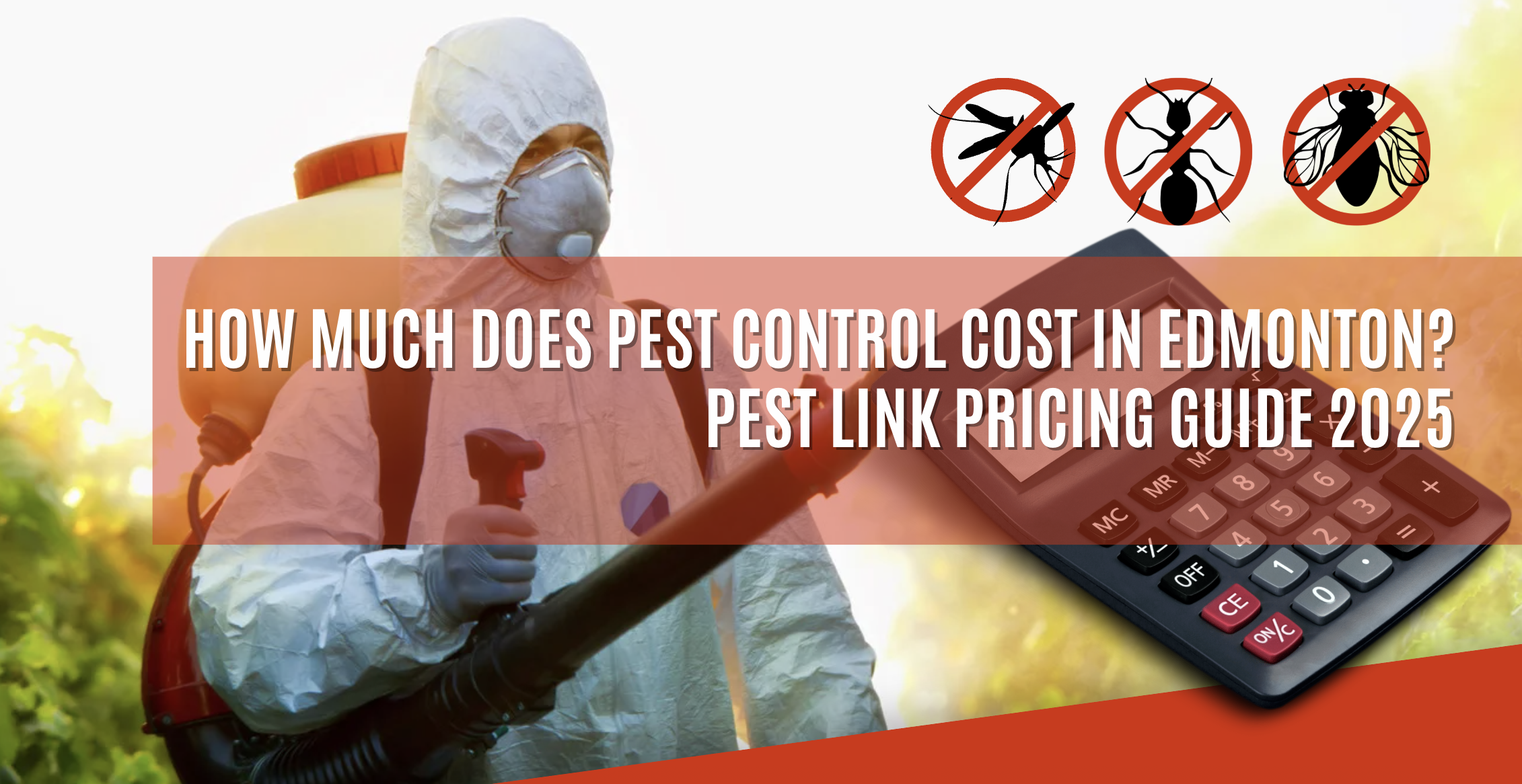 Customer Communication and Transparency in Pest Control Pricing