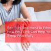 bed-bug-treatmemt