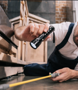 commercial-pest-control