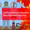 fall-pest-control-edmonton-pest-link