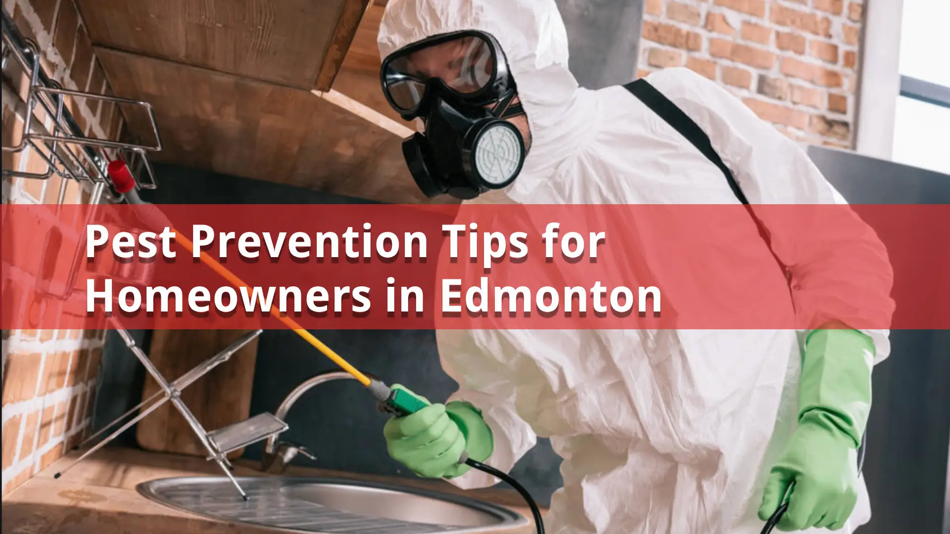 pest-prevention-homeowners-edmonton-pest-link