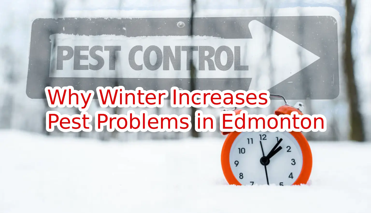 winter-pest-control-pest-link-cover