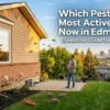 active pest in spring