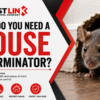 Professional mouse exterminator inspecting a home for signs of mice infestation in Edmonton.