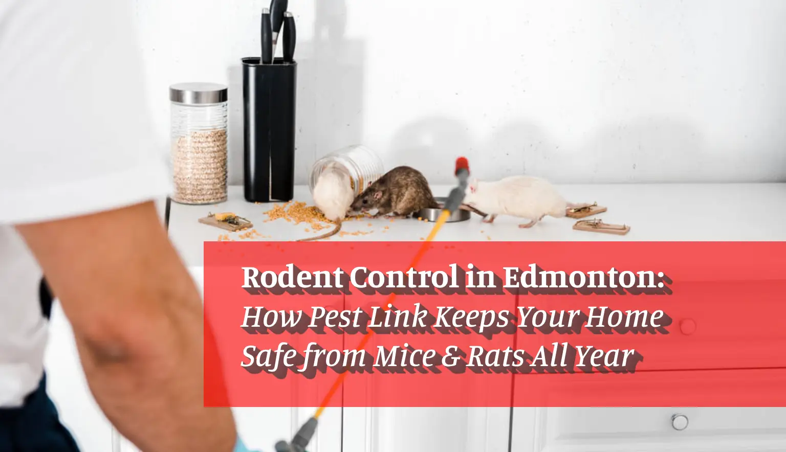 rodent-control-pest-link-cover